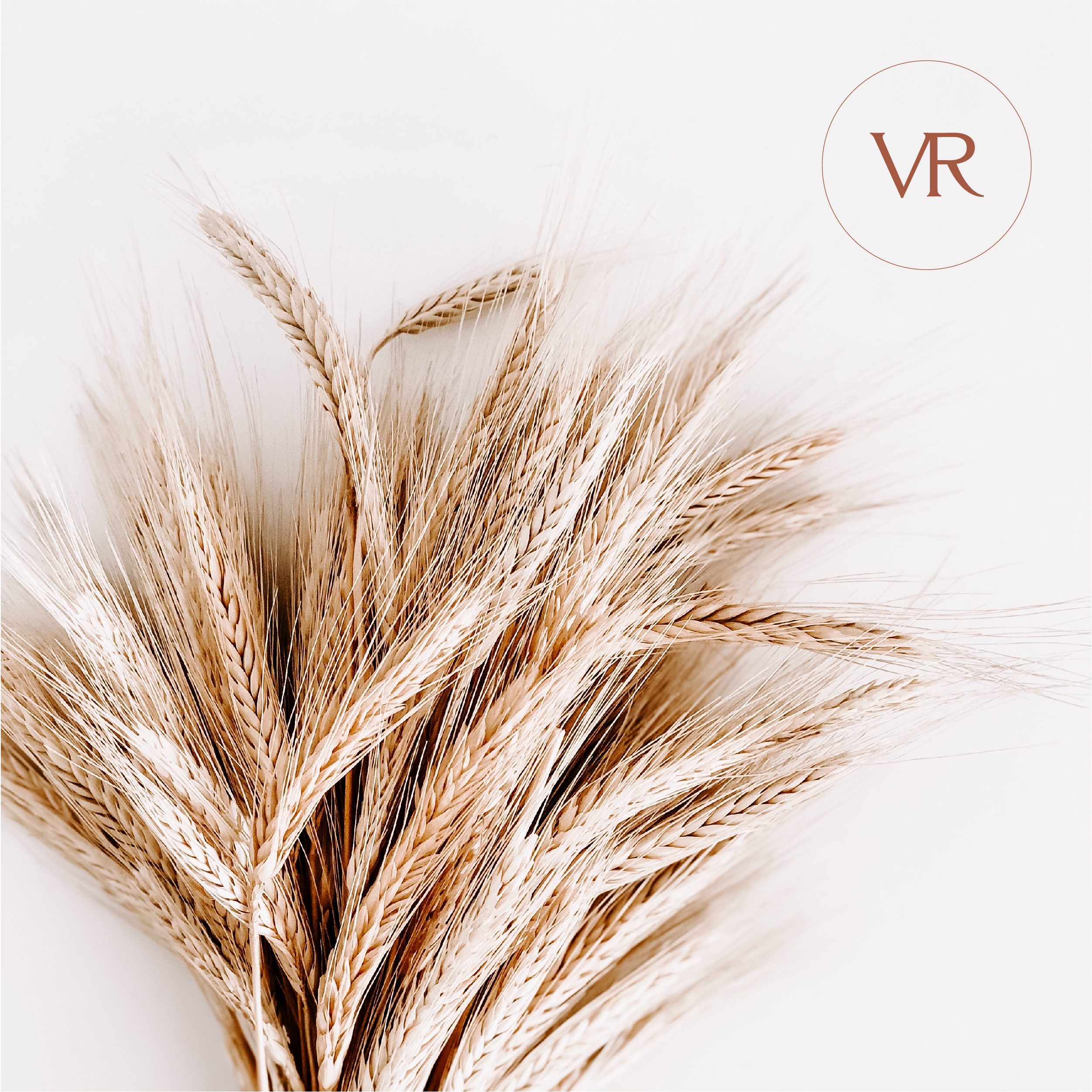 wheat pic with vr